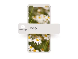 What Does WSG Mean in Texting?