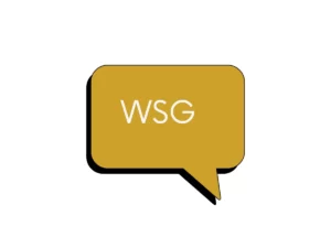 What Does WSG Mean in Texting?