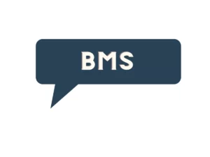 What Does BMS Mean In Texting?